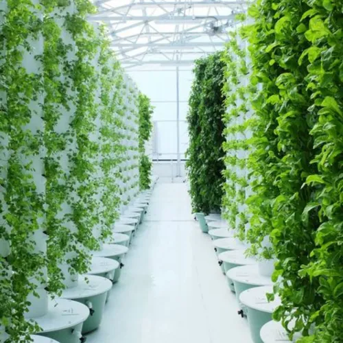 Hydroponic Tower Supplier in India